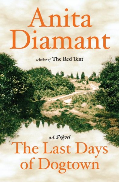 The last days of Dogtown : a novel / Anita Diamant.