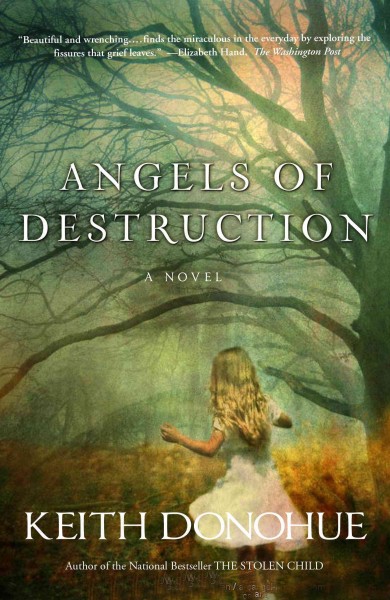 Angels of destruction [electronic resource] : a novel / Keith Donohue.