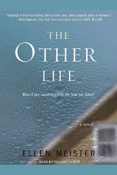 The other life [electronic resource] : a novel / Ellen Meister.