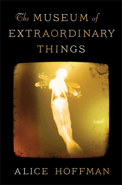 The Museum of extraordinary things / Alice Hoffman.