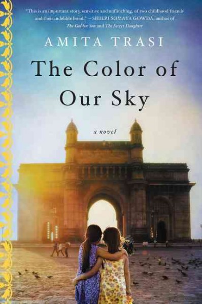 The color of our sky : a novel / Amita Trasi.