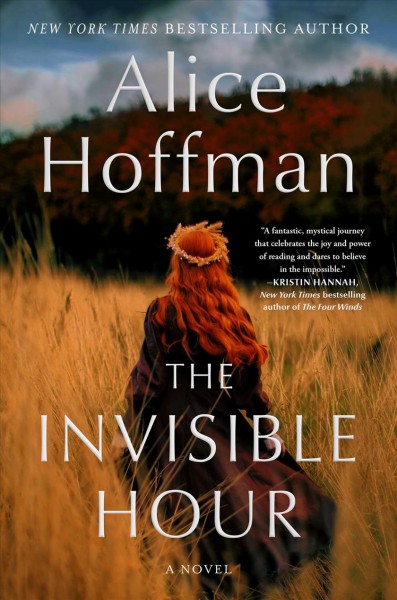 The invisible hour : a novel / Alice Hoffman.