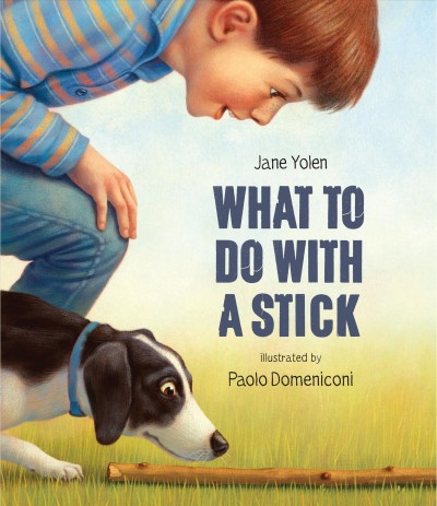 What to do with a stick / Jane Yolen ; illustrated by Paolo Domeniconi.