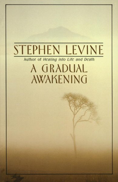 A gradual awakening [text] / Stephen Levine.