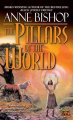 Go to record The pillars of the world