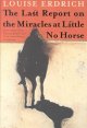 Go to record The last report on the miracles at Little No Horse
