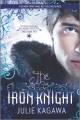 Iron Fey.  Bk 4  : The Iron Knight  Cover Image