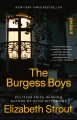 The burgess boys a novel  Cover Image