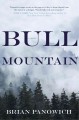 Bull Mountain : a novel  Cover Image