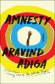 Go to record Amnesty : a novel