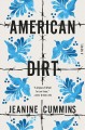American dirt a novel  Cover Image