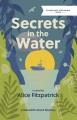 Secrets in the water : a novel  Cover Image