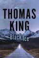 Black ice : a DreadfulWater mystery  Cover Image